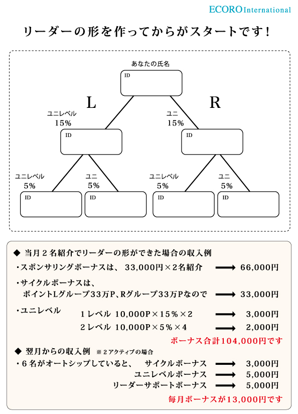 エコロ・インターナショナル / リーダーの形マーケティングチラシ(A4 